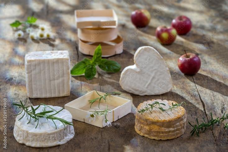 À La Découverte Des Délices Fromagers De Normandie Une Odyssée Gourmande Au Pays Du Camembert