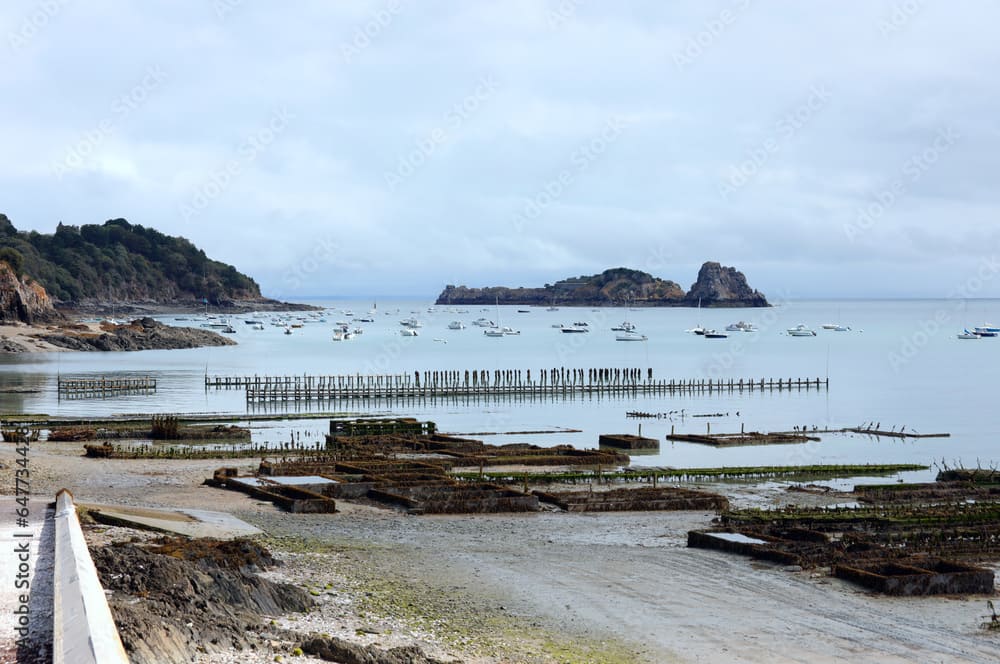 Les Délices marins de la Normandie : Un Festin de Fruits de mer Inoubliable